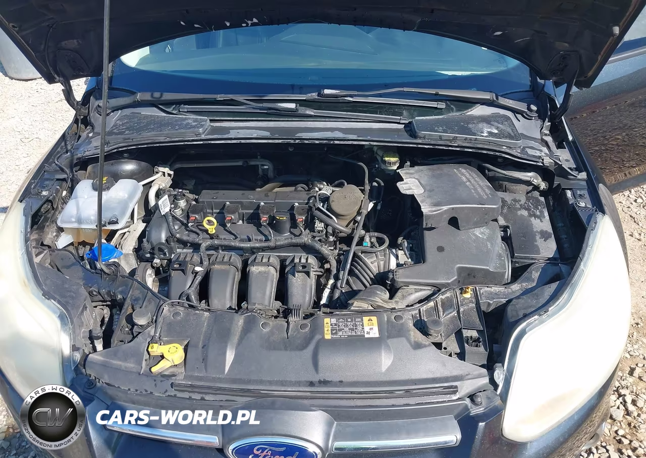 2014 Ford Focus Se VIN:1FADP3F27EL436606 - 10