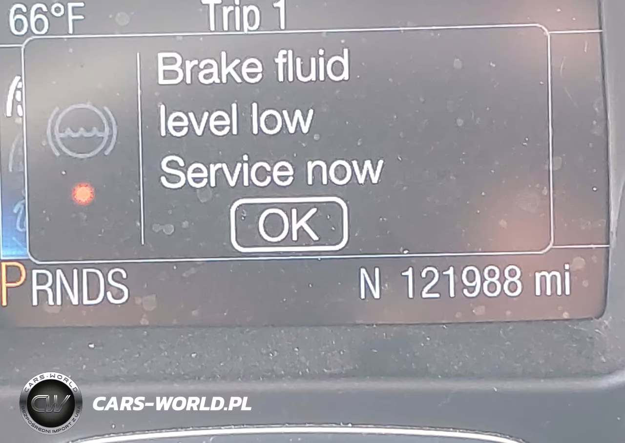 2014 Ford Focus Se VIN:1FADP3F27EL436606 - 15