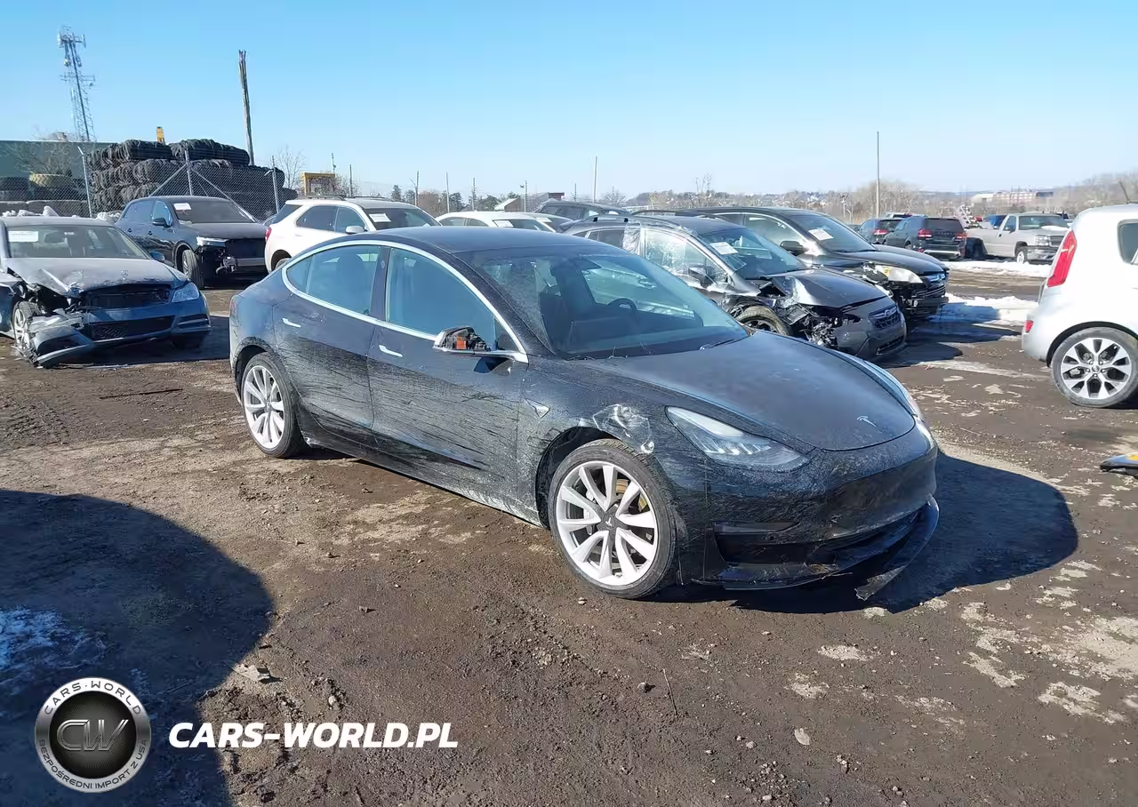 2019 Tesla Model 3 Long Range-Performance