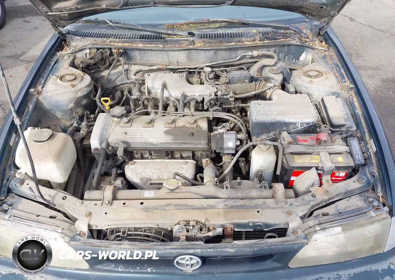 1997 Toyota Corolla Ce VIN:1NXBA02E6VZ641860 - 10