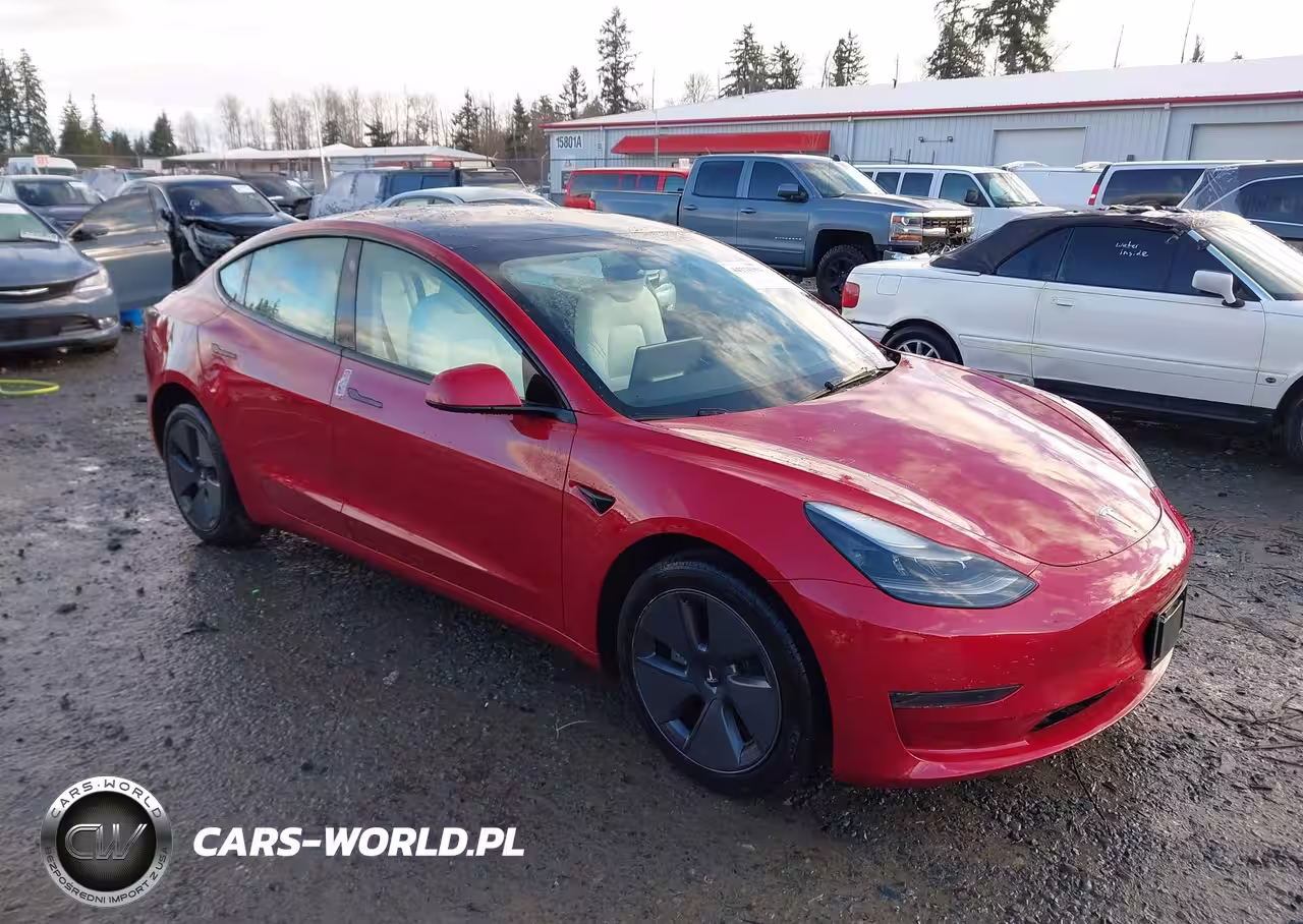 2023 Tesla Model 3 Rear-Wheel Drive