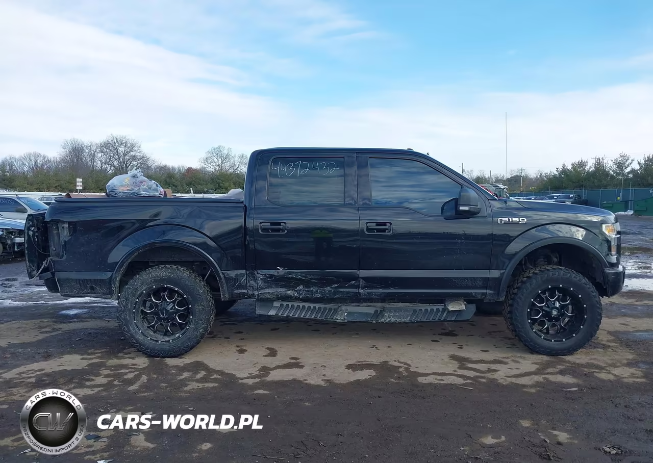 2016 Ford F-150 Xlt VIN:1FTEW1EF6GFA93248 - 13