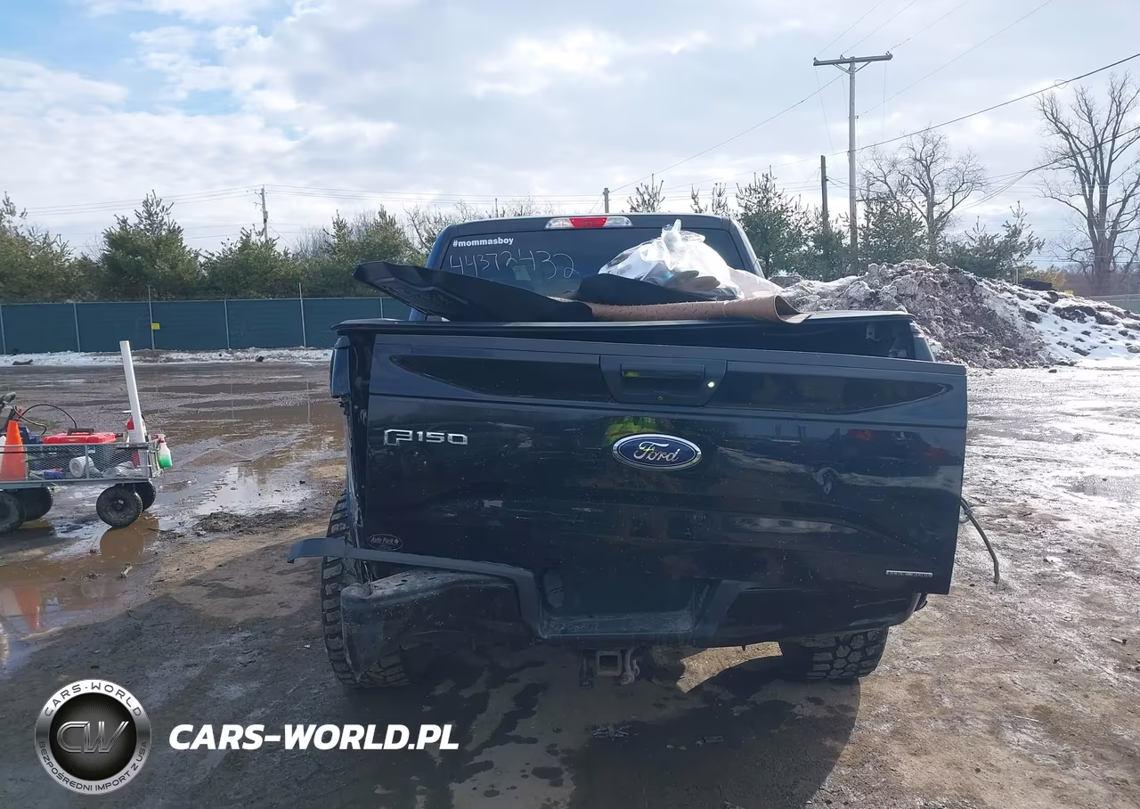 2016 Ford F-150 Xlt VIN:1FTEW1EF6GFA93248 - 16