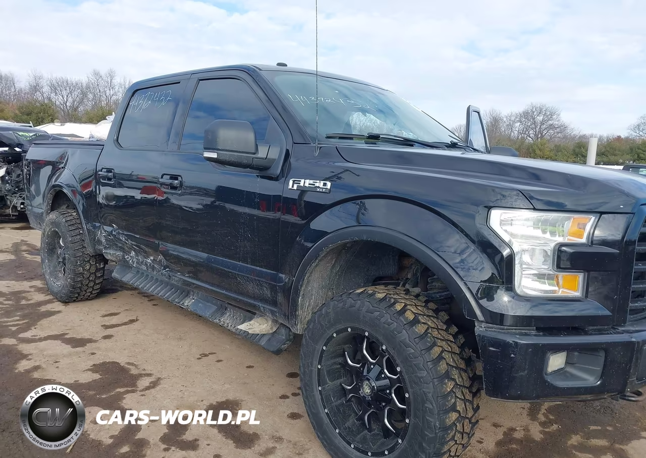 2016 Ford F-150 Xlt VIN:1FTEW1EF6GFA93248 - 6