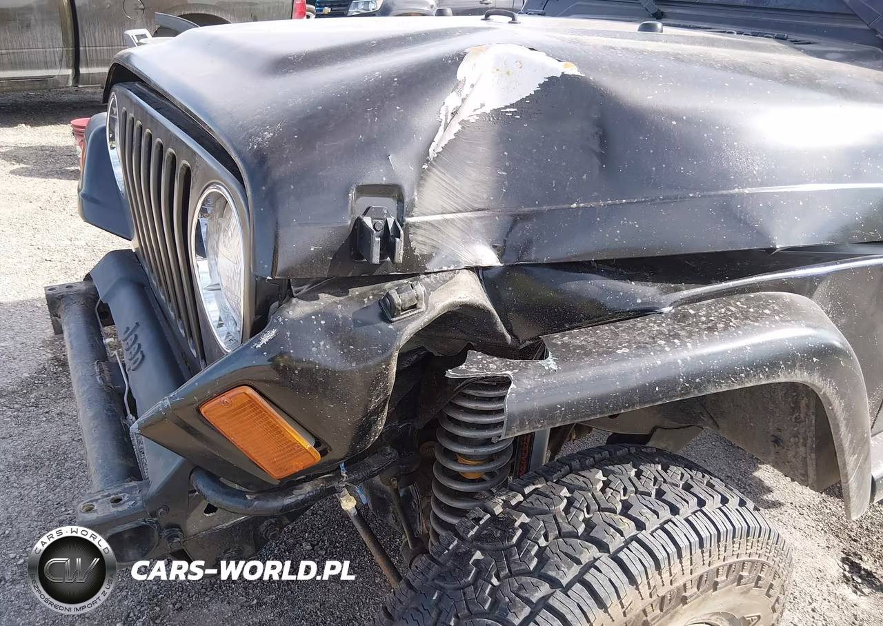 1997 Jeep Wrangler Se VIN:1J4FY29P1VP427713 - 12