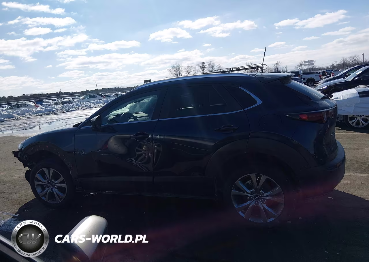 2024 Mazda Cx-30 2.5 S Preferred Package VIN:3MVDMBCM9RM676844 - 13