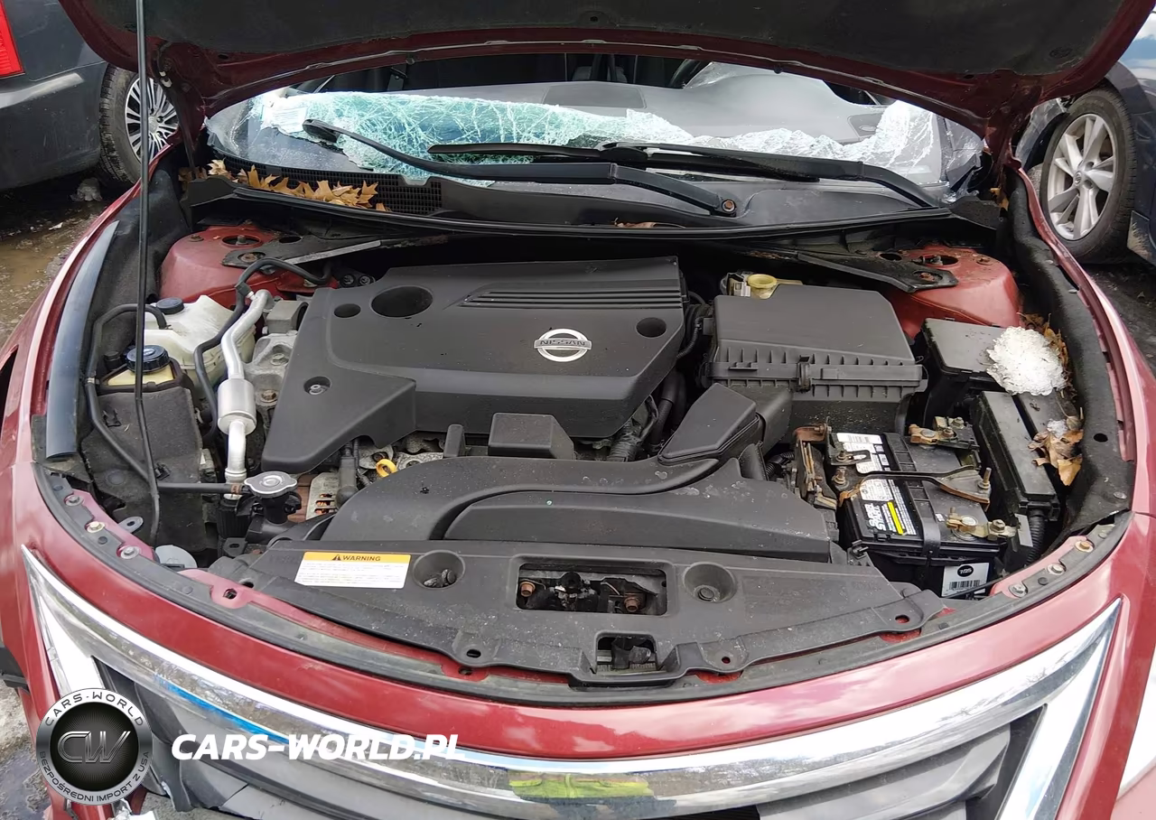 NISSAN ALTIMA VIN:1N4AL3AP2DC294858 - 10