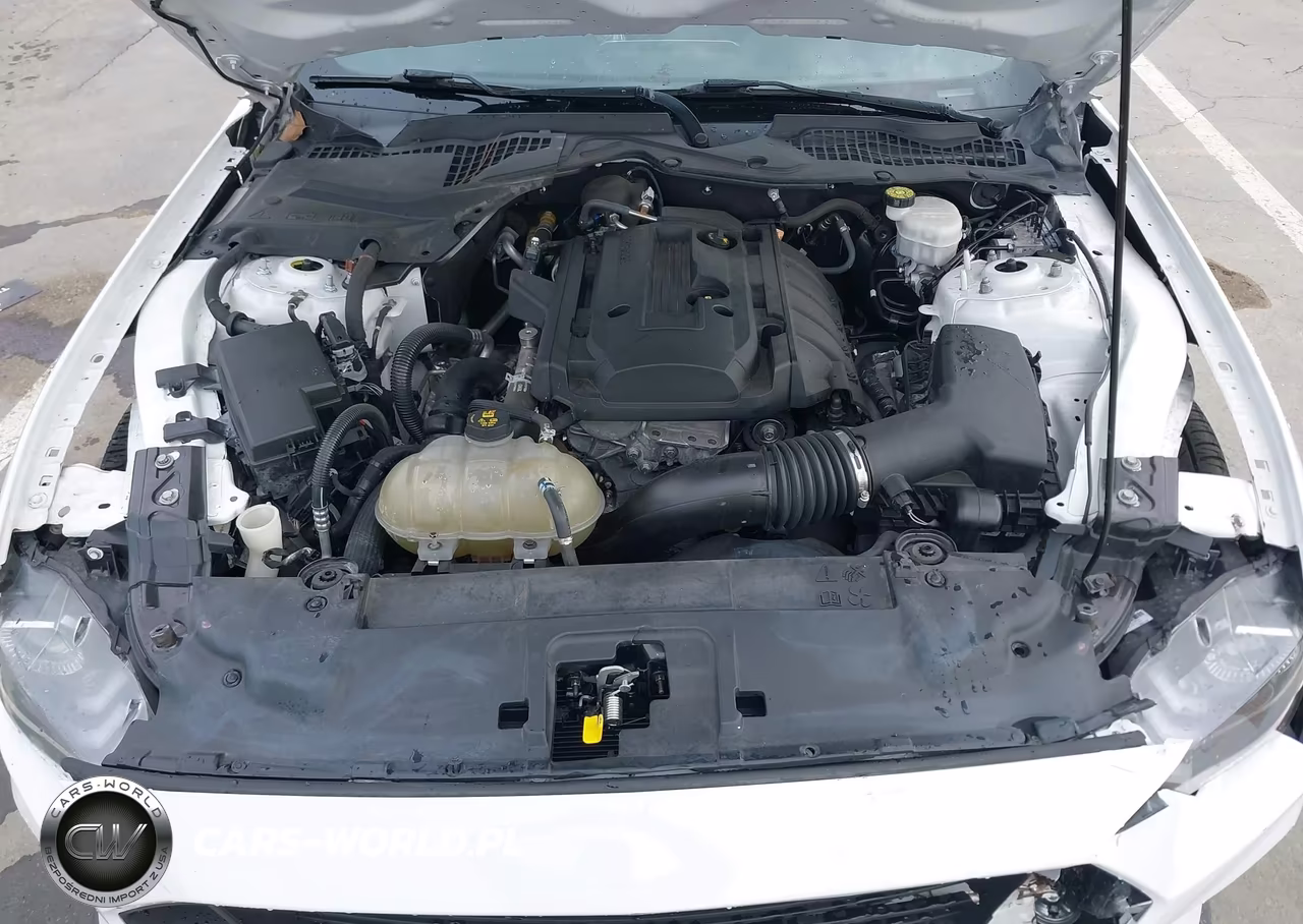 2020 Ford Mustang VIN:1FA6P8TH5L5141925 - 10
