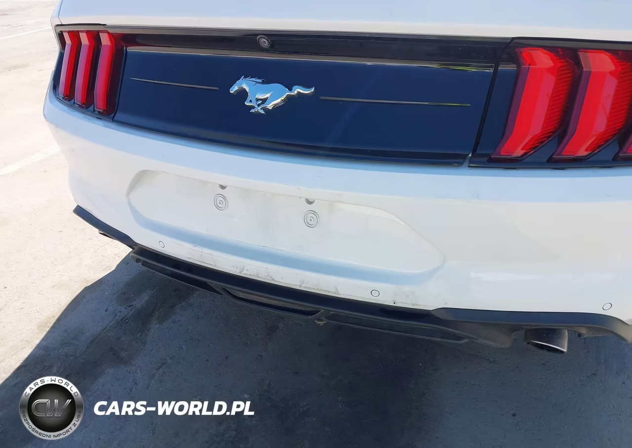 2020 Ford Mustang VIN:1FA6P8TH5L5141925 - 19