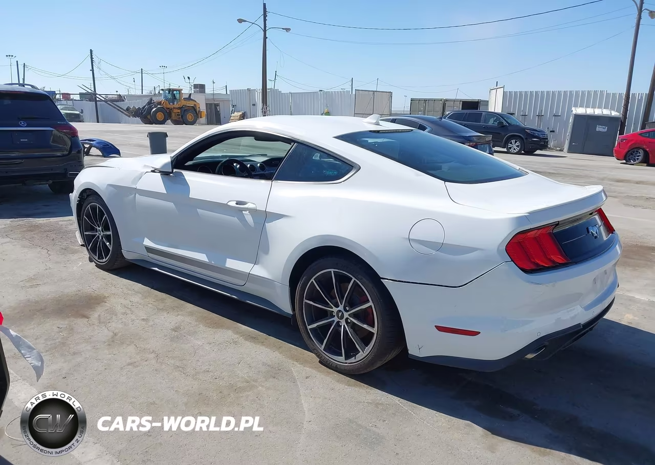 2020 Ford Mustang VIN:1FA6P8TH5L5141925 - 3