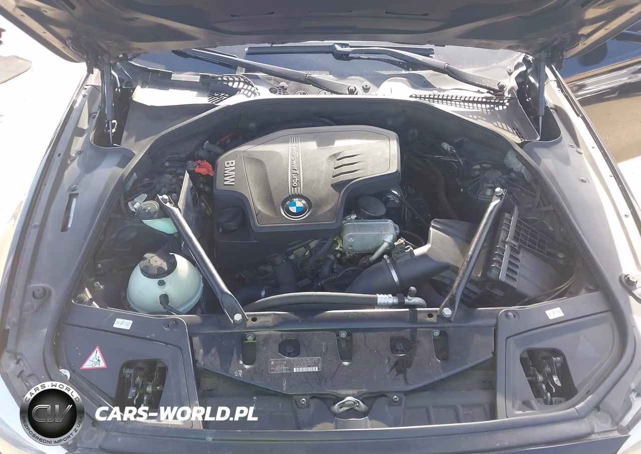 2013 BMW 528I VIN:WBAXG5C54DDY33939 - 10