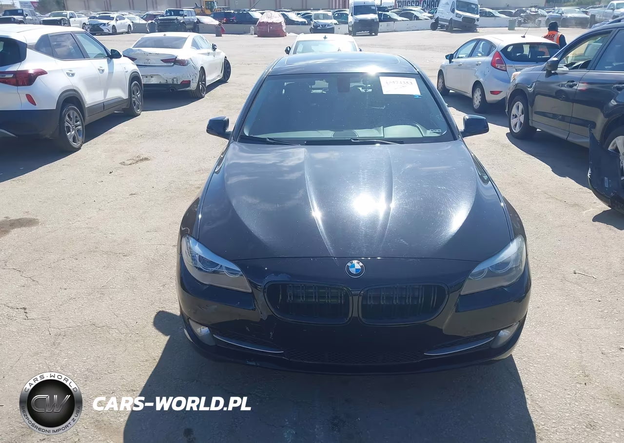 2013 BMW 528I VIN:WBAXG5C54DDY33939 - 13