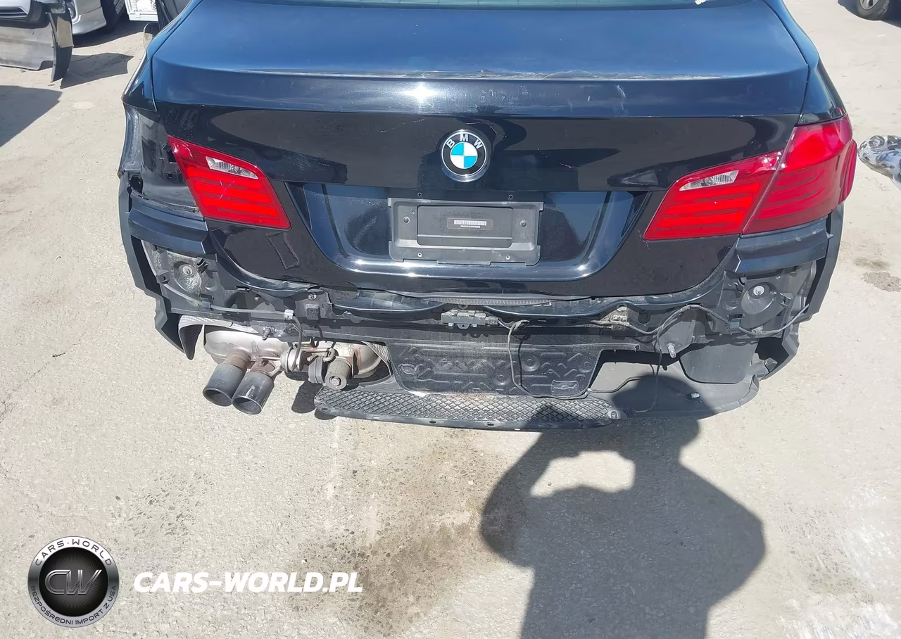 2013 BMW 528I VIN:WBAXG5C54DDY33939 - 6
