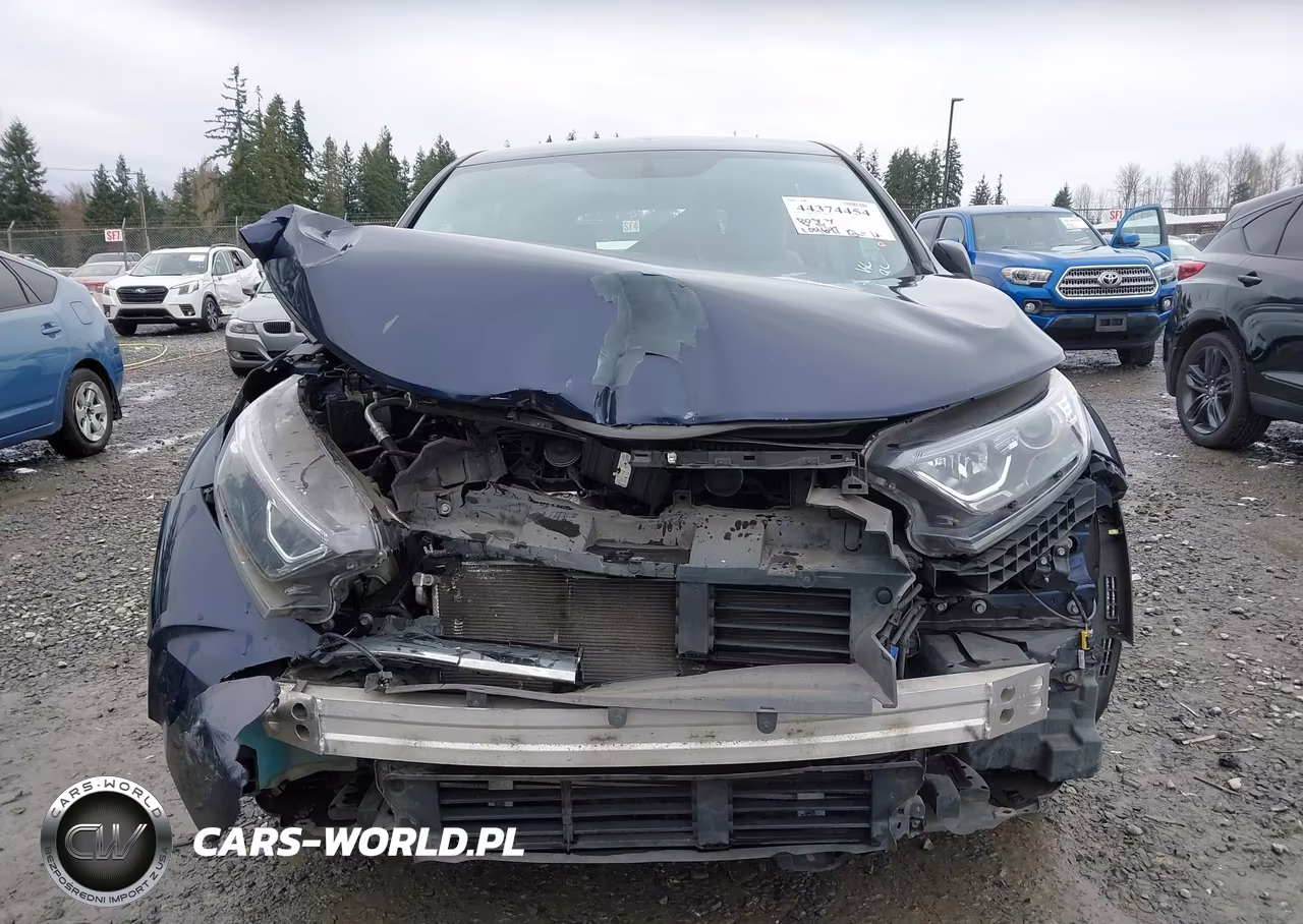 2019 Honda Cr-V Lx VIN:5J6RW6H39KL005541 - 13