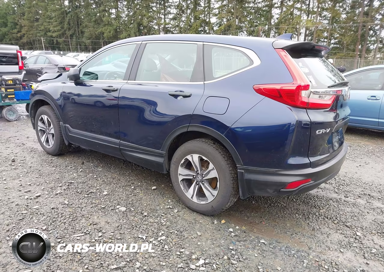 2019 Honda Cr-V Lx VIN:5J6RW6H39KL005541 - 3