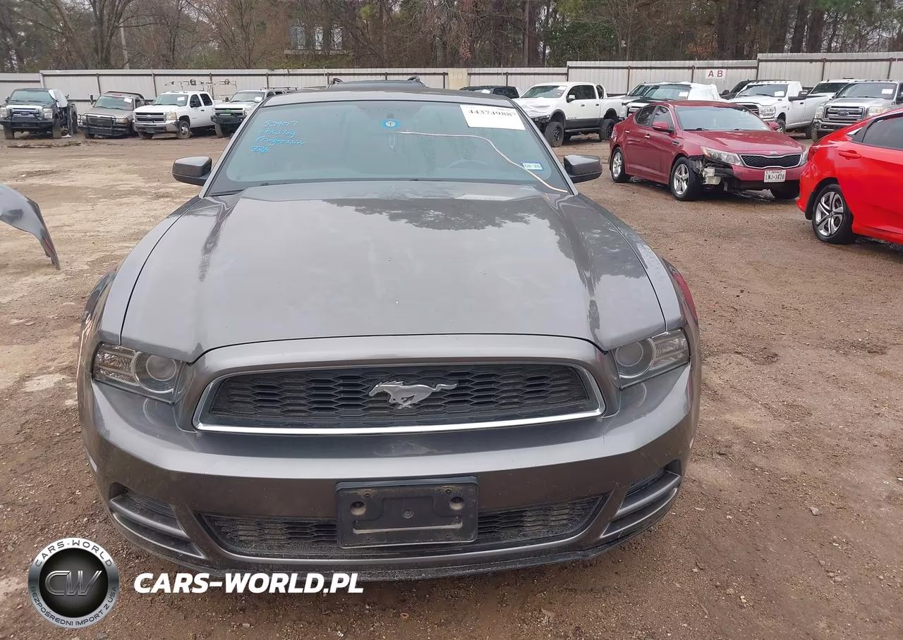 2013 Ford Mustang V6 Premium VIN:1ZVBP8AM4D5262226 - 13