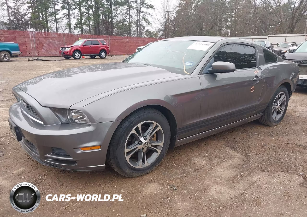 2013 Ford Mustang V6 Premium VIN:1ZVBP8AM4D5262226 - 2