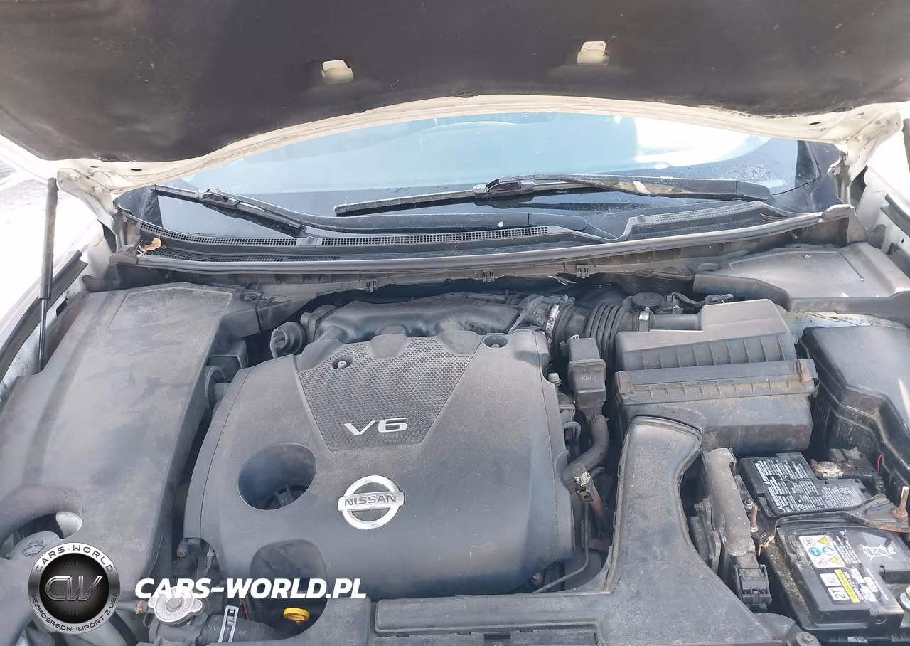 2013 Nissan Maxima 3.5 Sv VIN:1N4AA5AP6DC846007 - 10