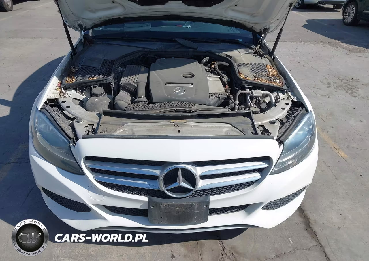 2018 Mercedes-Benz C 300 VIN:55SWF4JB1JU262028 - 10