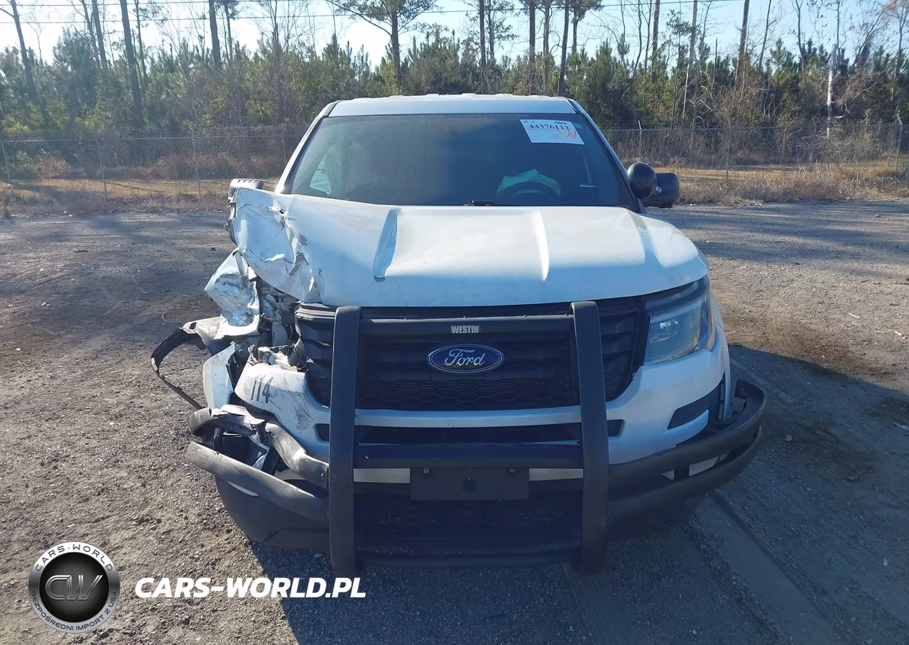 2018 Ford Police Interceptor Utility VIN:1FM5K8AR2JGC19350 - 12
