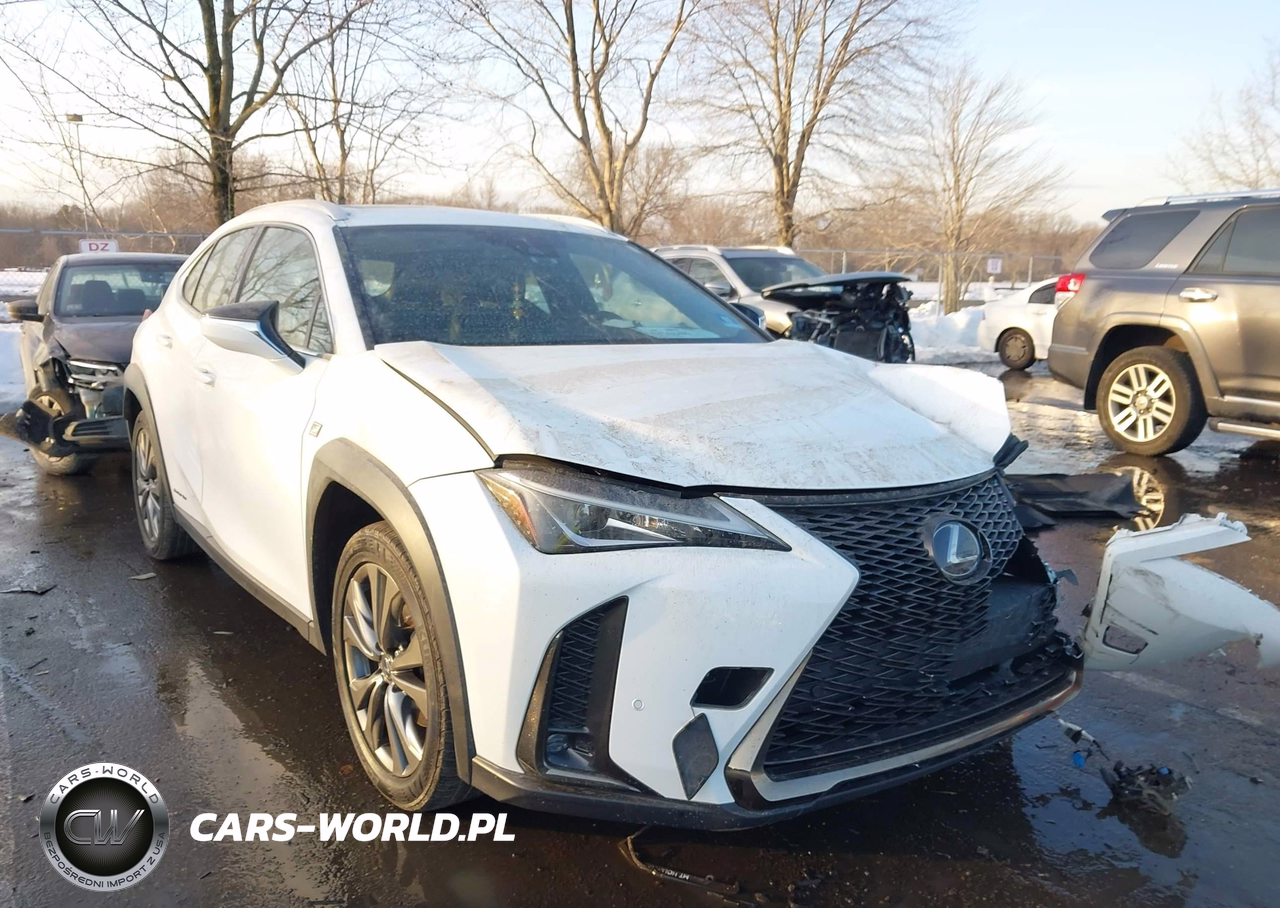 2020 Lexus Ux 250H F Sport