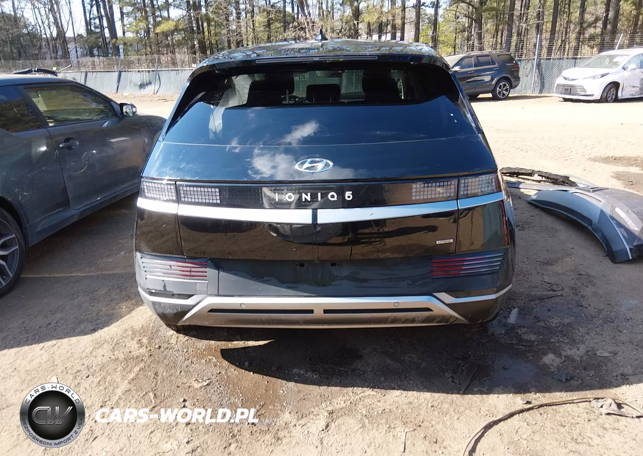 2024 Hyundai Ioniq 5 Sel VIN:KM8KNDDF9RU305918 - 17
