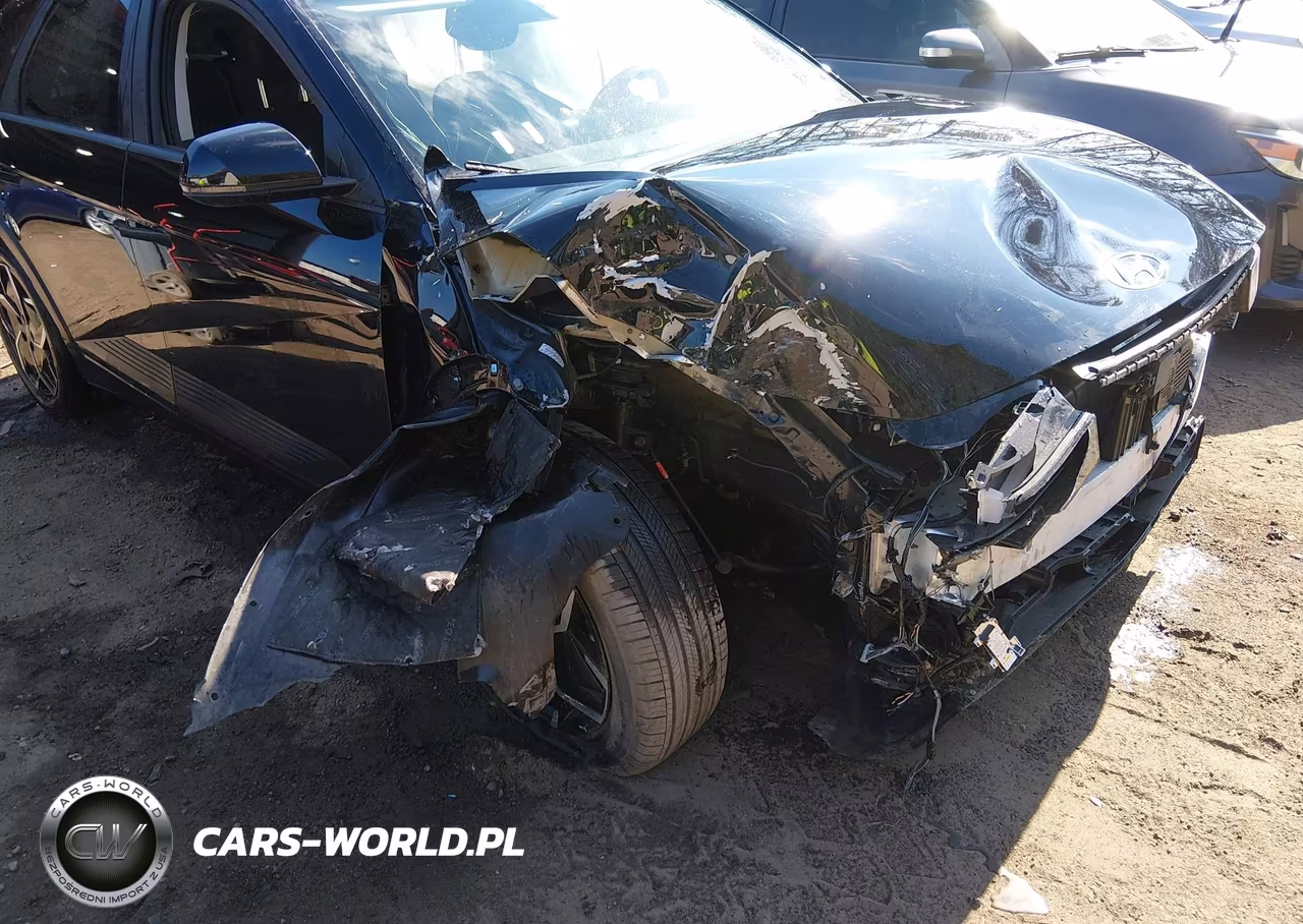 2024 Hyundai Ioniq 5 Sel VIN:KM8KNDDF9RU305918 - 6