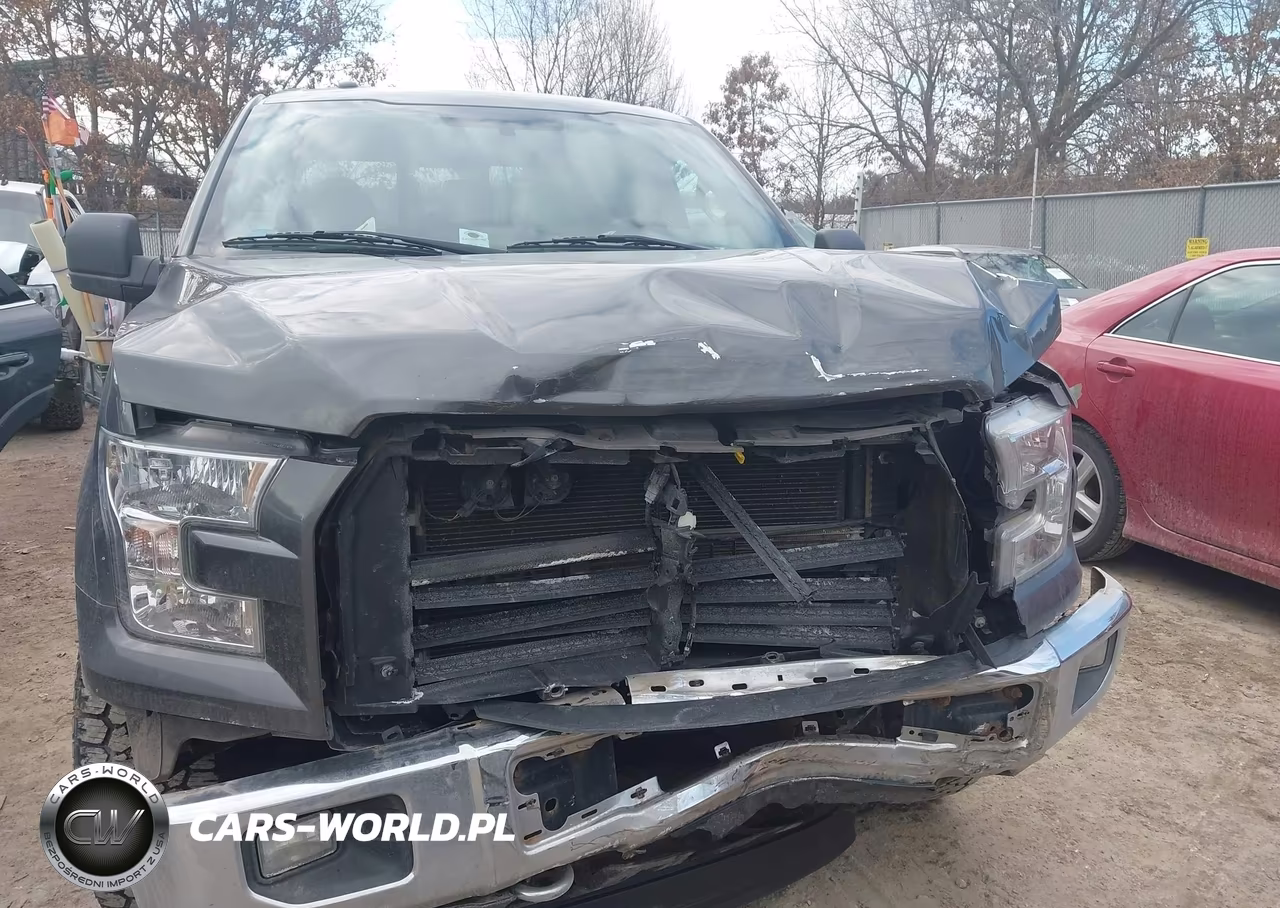 2015 Ford F-150 Xlt VIN:1FTFX1EF0FFA39878 - 13