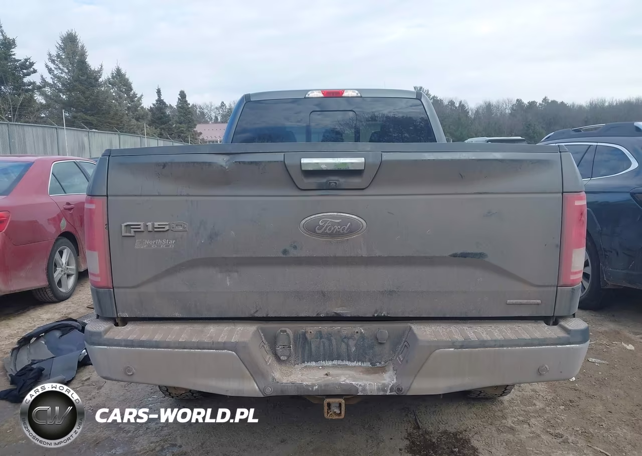 2015 Ford F-150 Xlt VIN:1FTFX1EF0FFA39878 - 17