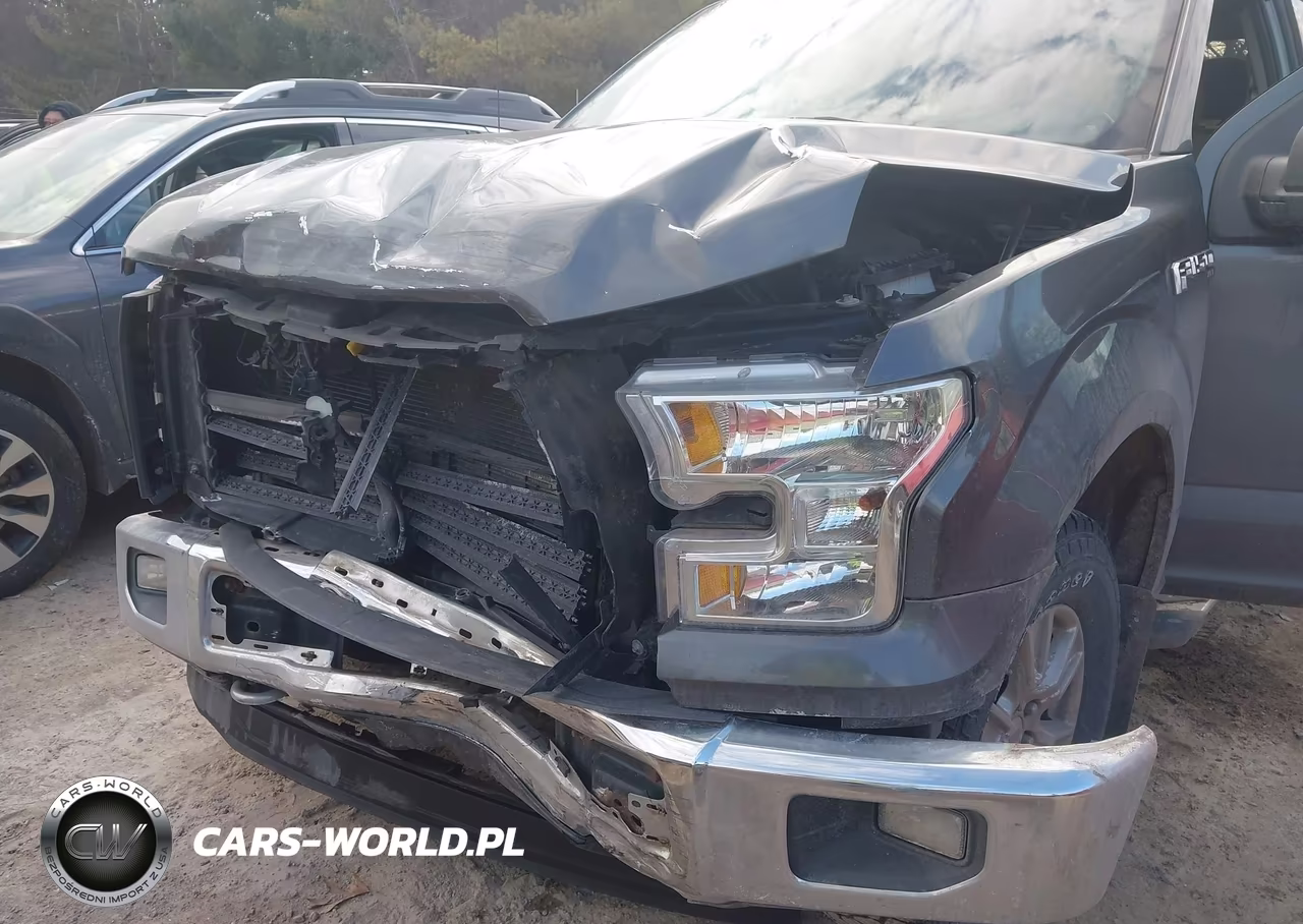 2015 Ford F-150 Xlt VIN:1FTFX1EF0FFA39878 - 6