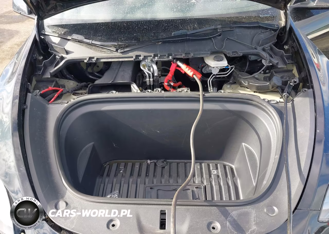 2023 Tesla Model Y VIN:7SAYGAEE4PF829385 - 10