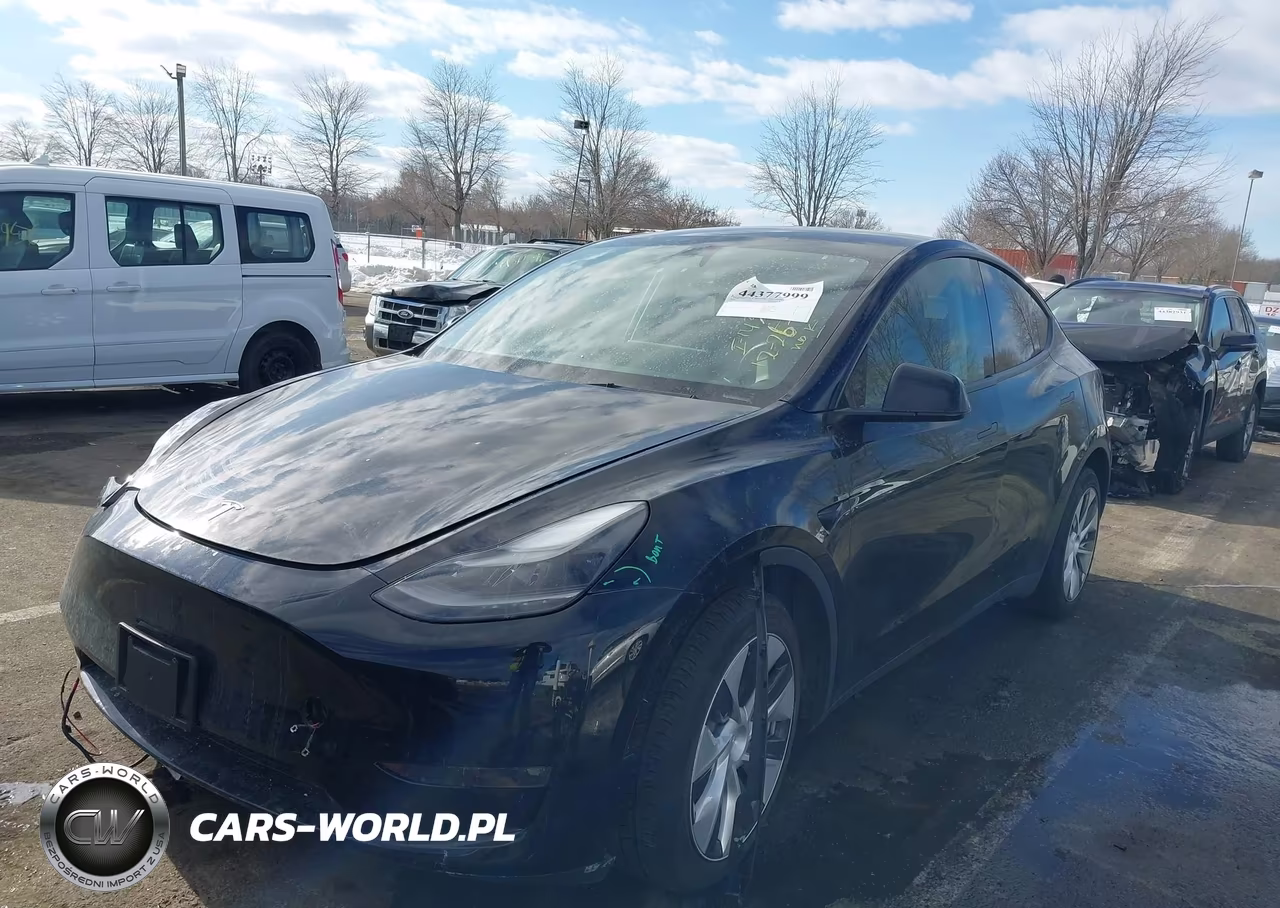 2023 Tesla Model Y VIN:7SAYGAEE4PF829385 - 2
