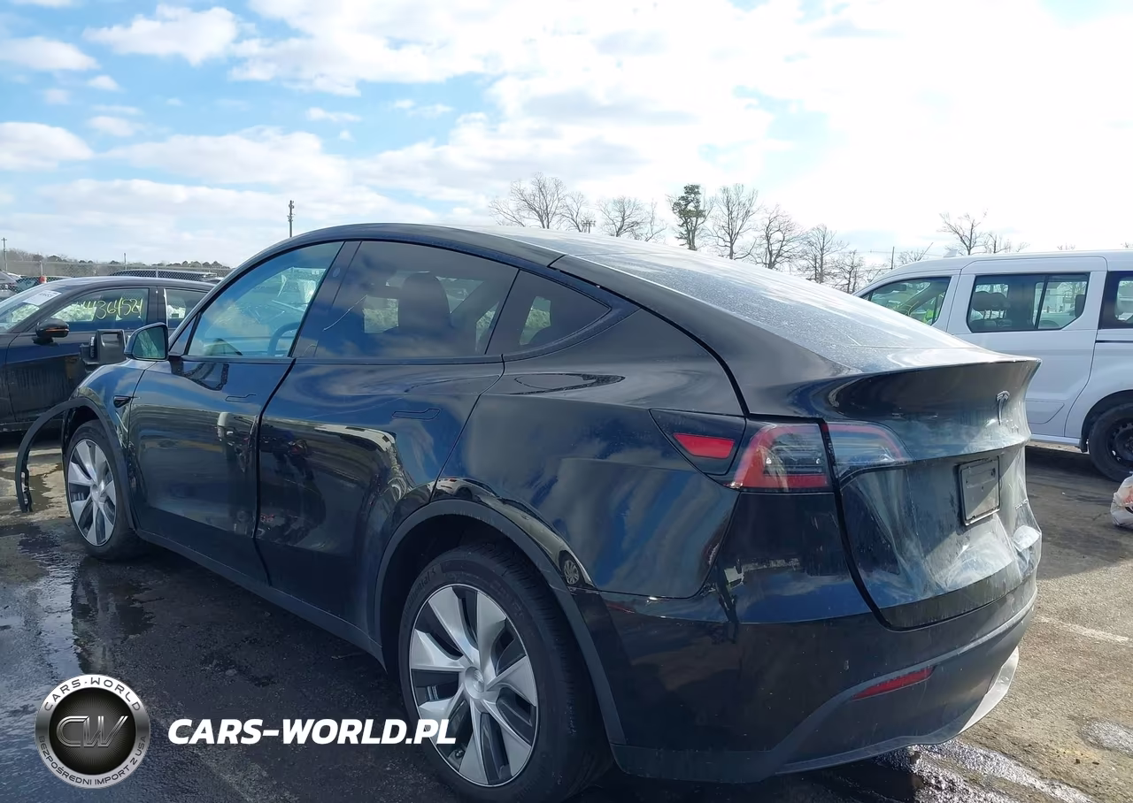2023 Tesla Model Y VIN:7SAYGAEE4PF829385 - 3