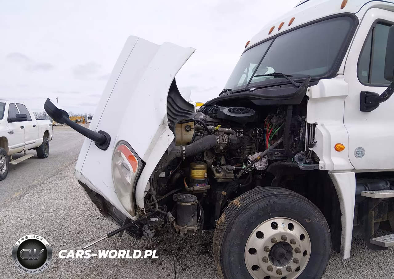 2015 Freightliner Cascadia 125 VIN:1FUJGLDVXFLGM6432 - 11