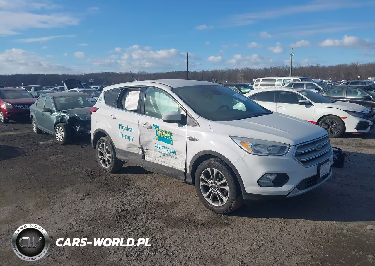 2019 Ford Escape Se