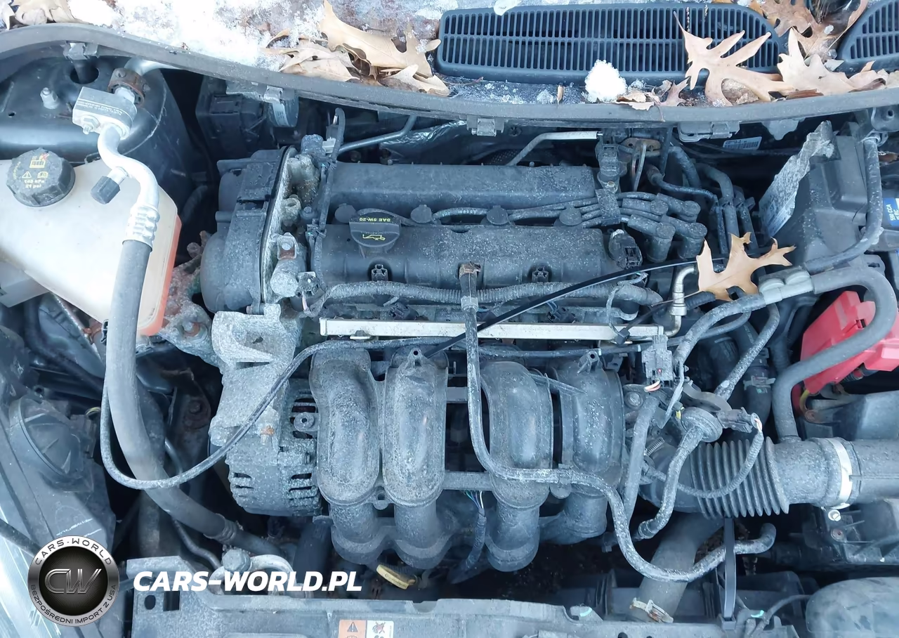 2016 Ford Fiesta Se VIN:3FADP4BJ5GM150371 - 10