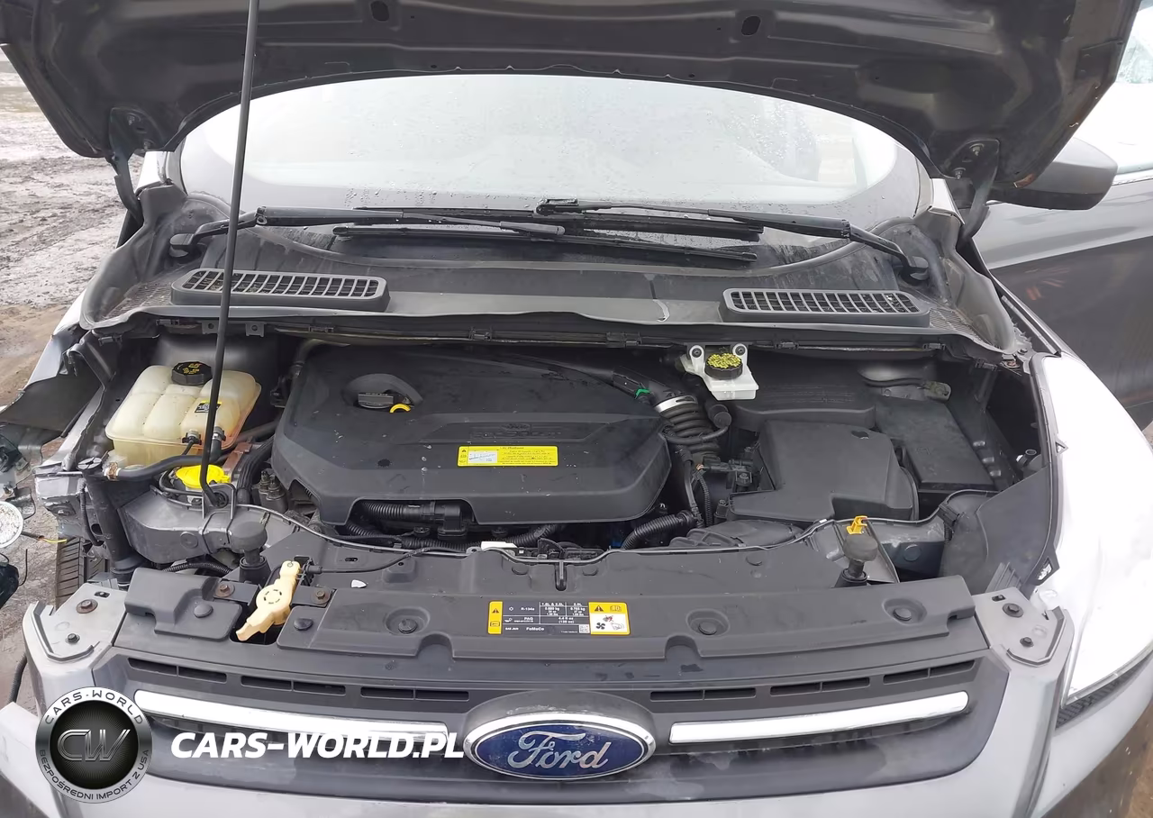 2013 Ford Escape Se VIN:1FMCU0GX2DUB52070 - 10