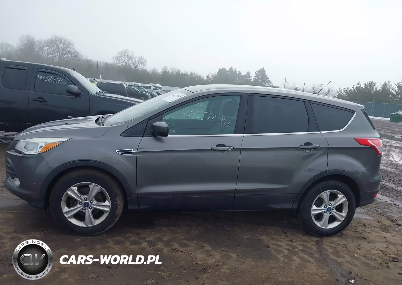 2013 Ford Escape Se VIN:1FMCU0GX2DUB52070 - 14