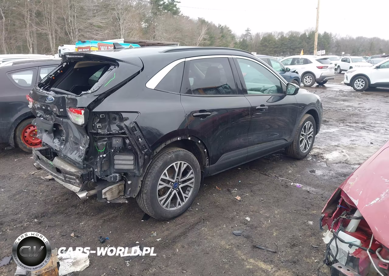 2020 Ford Escape Sel VIN:1FMCU9H68LUA00965 - 4