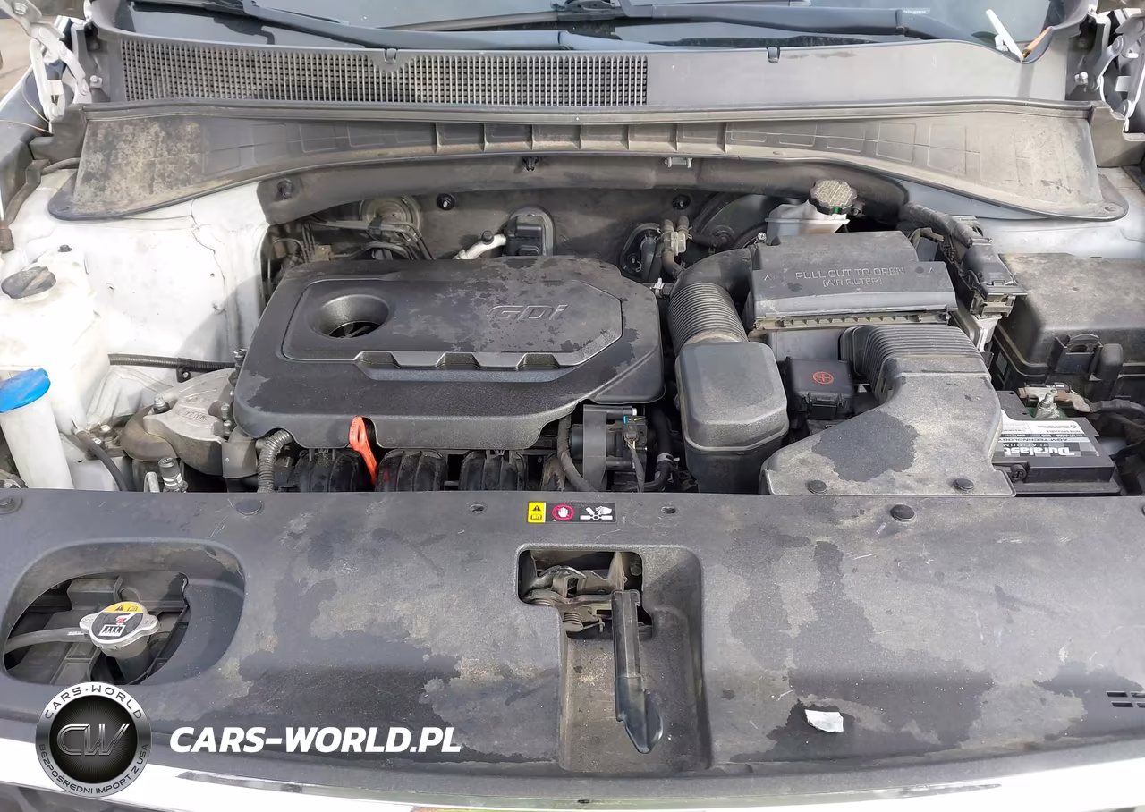2020 Kia Sorento 2.4L L VIN:5XYPG4A31LG644194 - 10