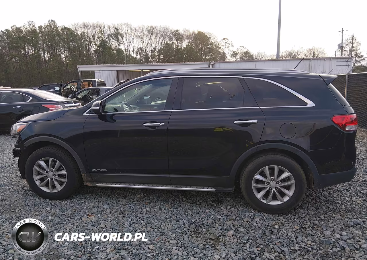 2017 Kia Sorento 3.3L Lx VIN:5XYPGDA57HG235402 - 15