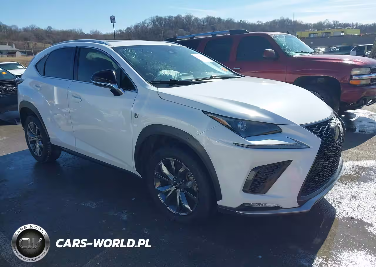 2020 Lexus Nx 300 F Sport
