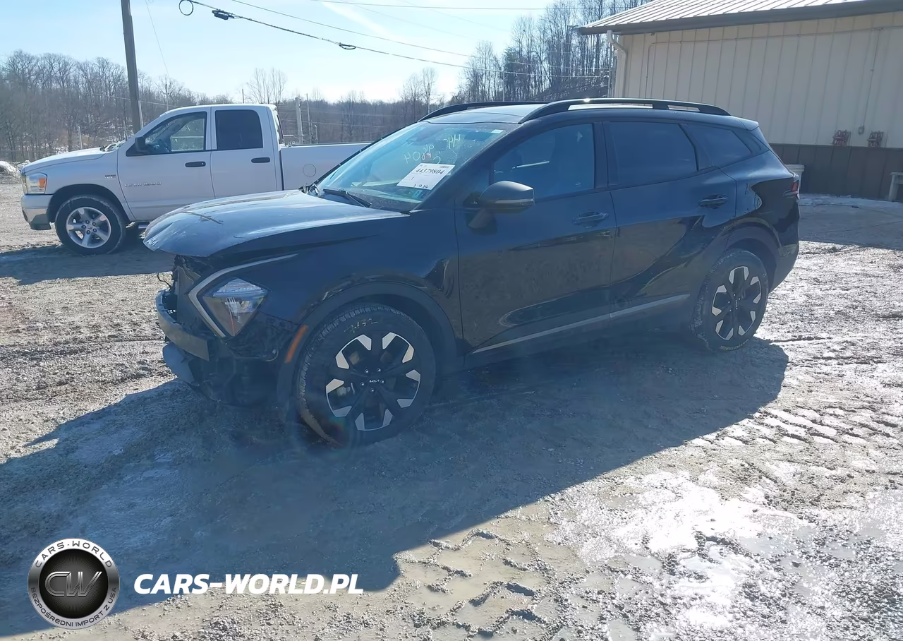 2023 Kia Sportage X Line VIN:5XYK6CAF9PG118550 - 2