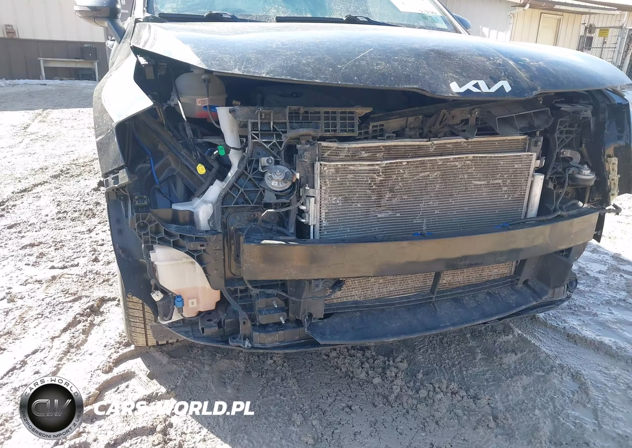 2023 Kia Sportage X Line VIN:5XYK6CAF9PG118550 - 6