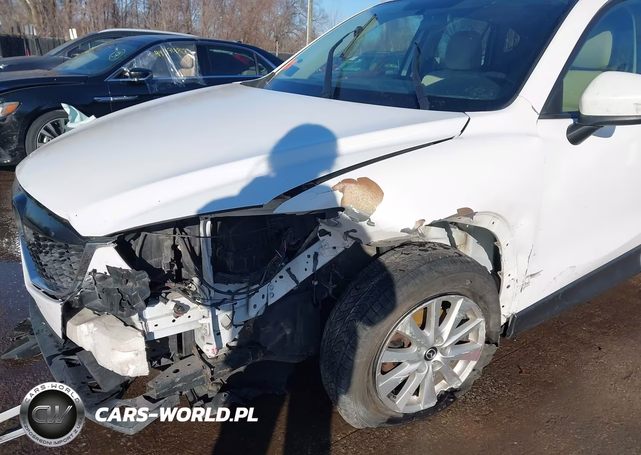 2014 Mazda Cx-5 Touring VIN:JM3KE4CY0E0354411 - 17