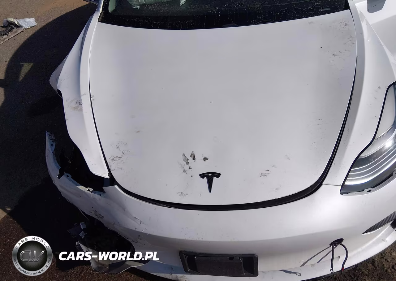 2019 Tesla Model 3 Long Range-Performance VIN:5YJ3E1EB6KF510789 - 10