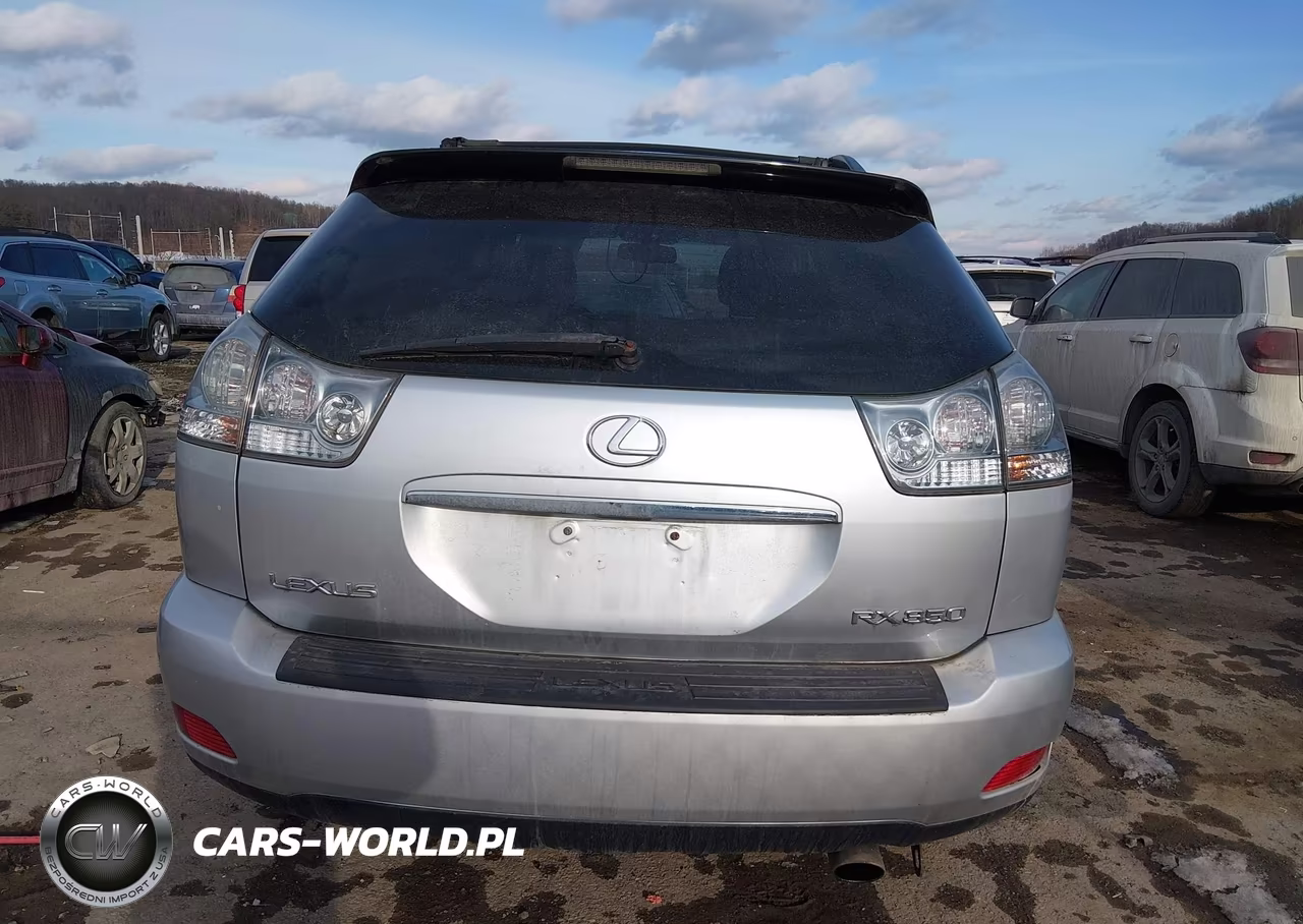 2009 Lexus Rx 350 VIN:2T2HK31U49C135206 - 16
