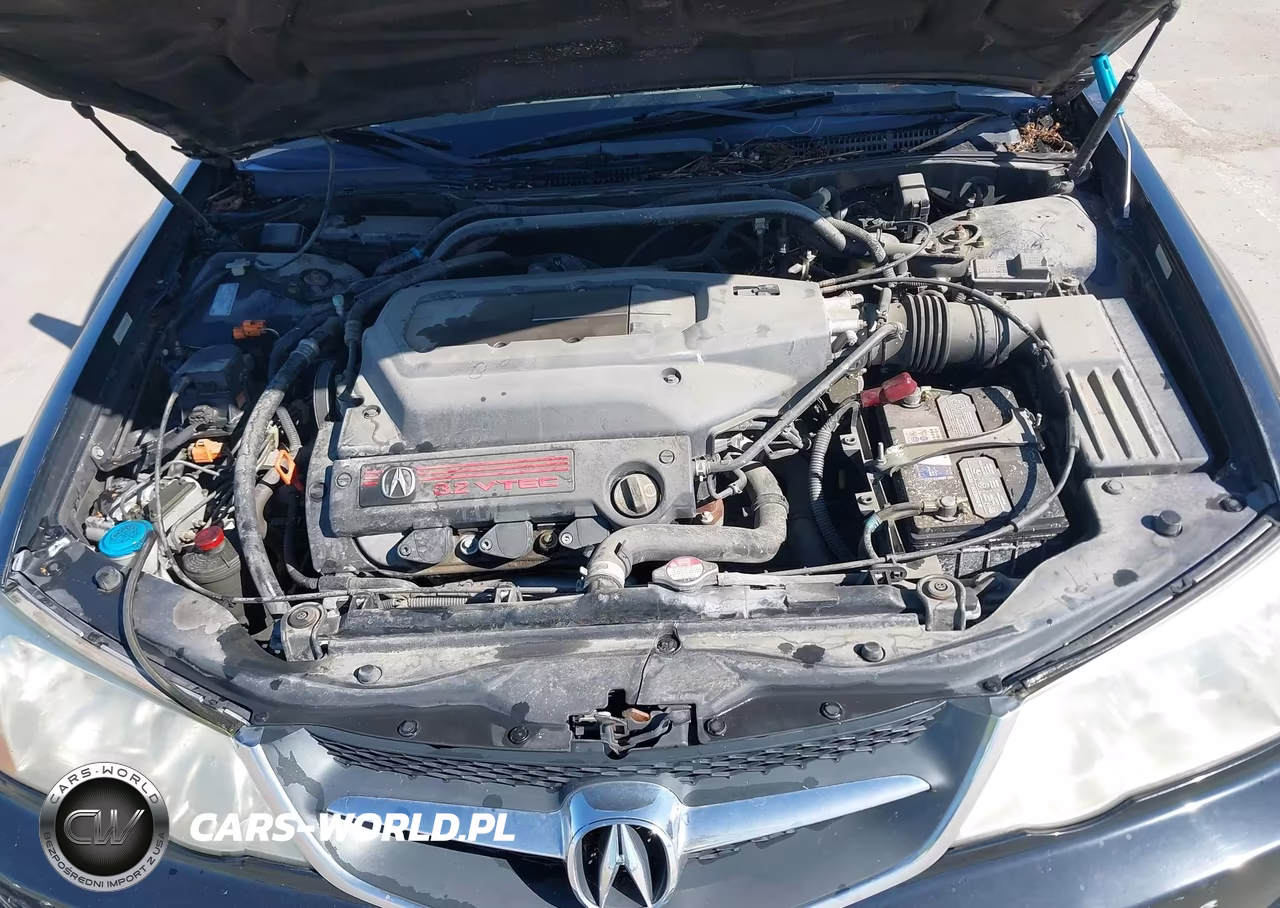2003 Acura Tl 3.2 Type S VIN:19UUA56973A005035 - 10
