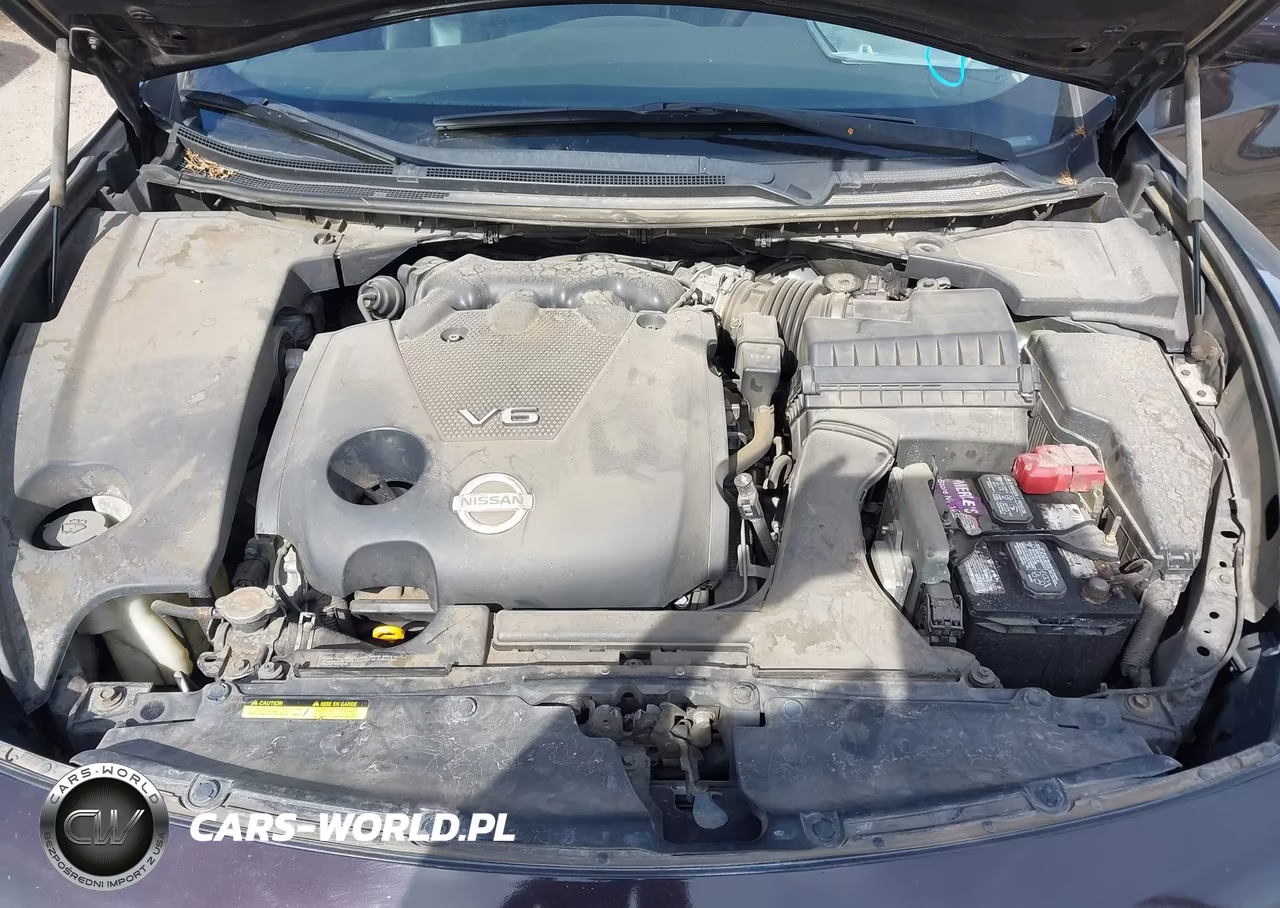 2013 Nissan Maxima 3.5 Sv VIN:1N4AA5AP1DC803694 - 10
