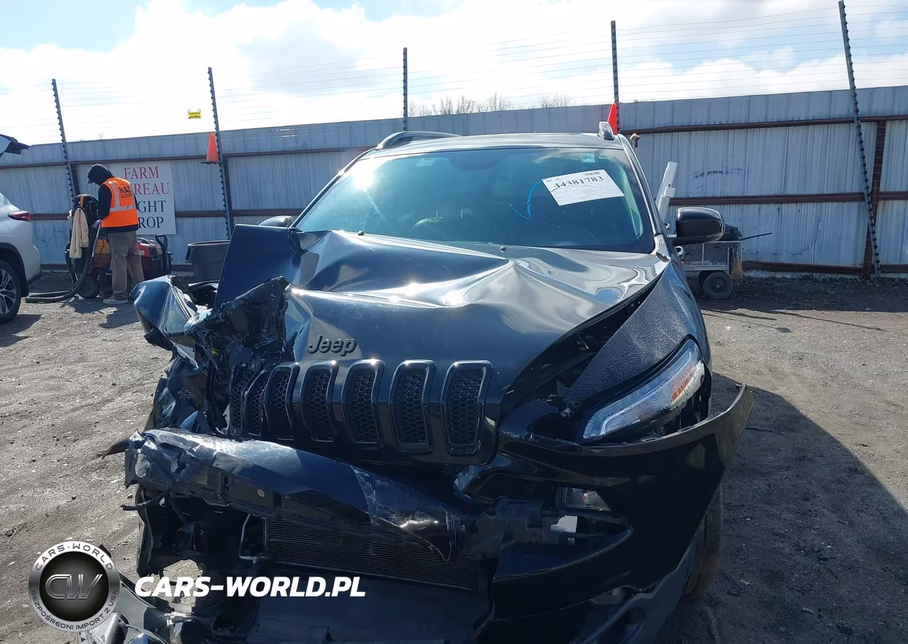 2017 Jeep Cherokee High Altitude Fwd VIN:1C4PJLDB9HW559127 - 12